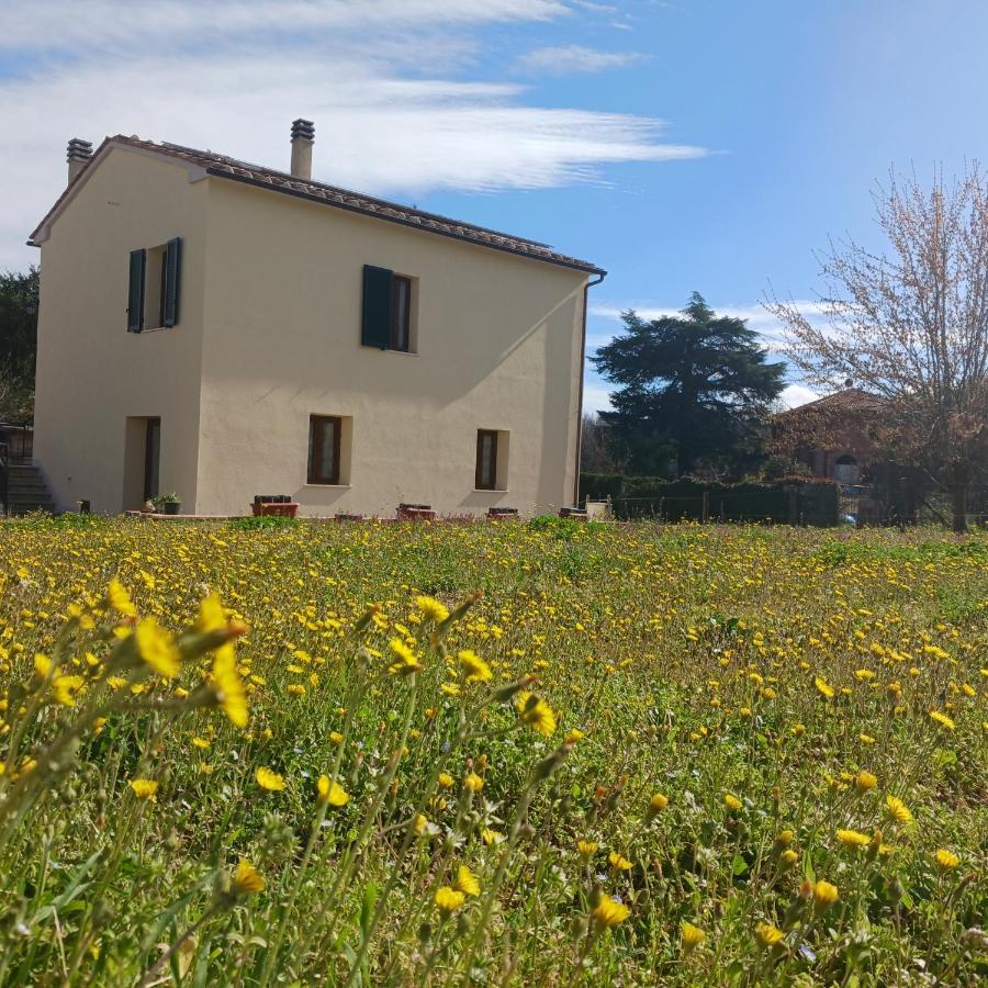 Casa Di Zio Βίλα Monticiano Εξωτερικό φωτογραφία